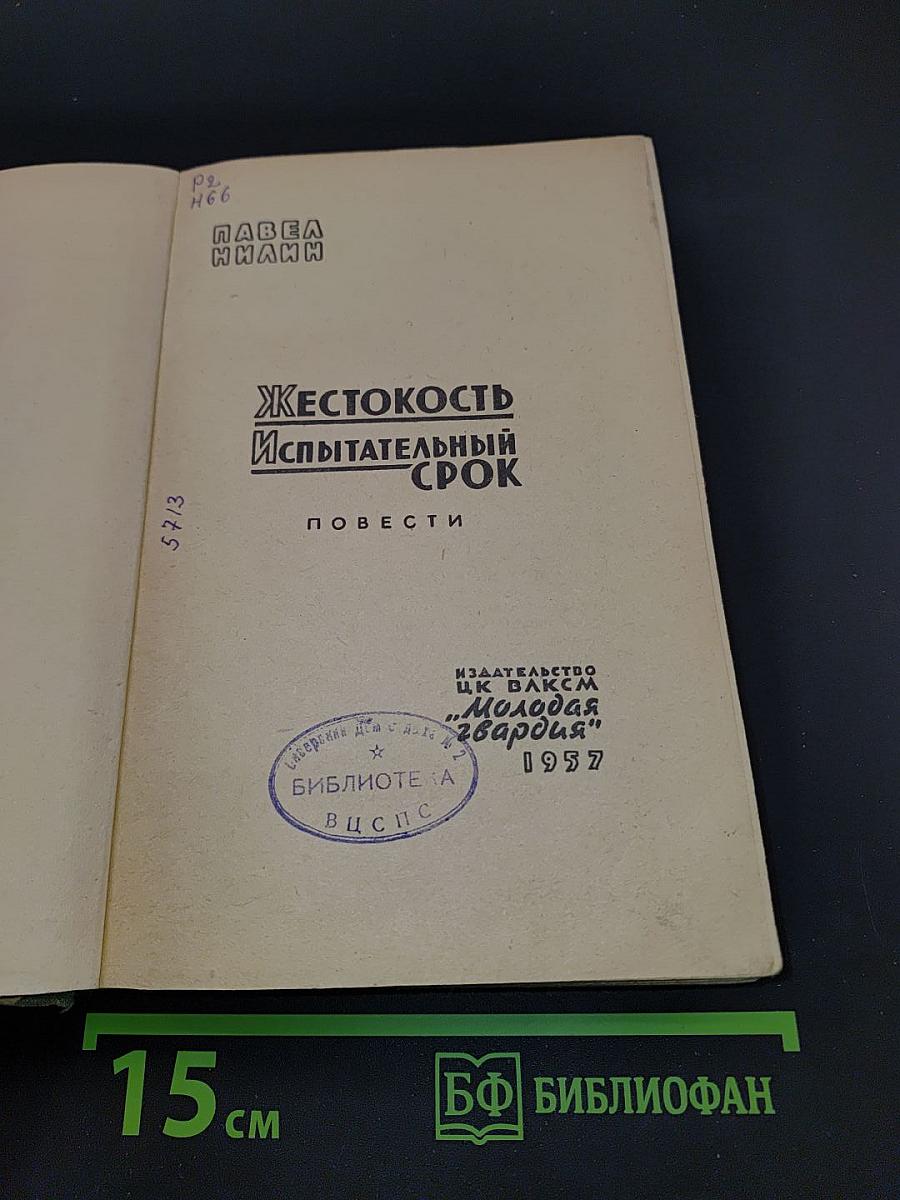 Жестокость. Испытательный срок