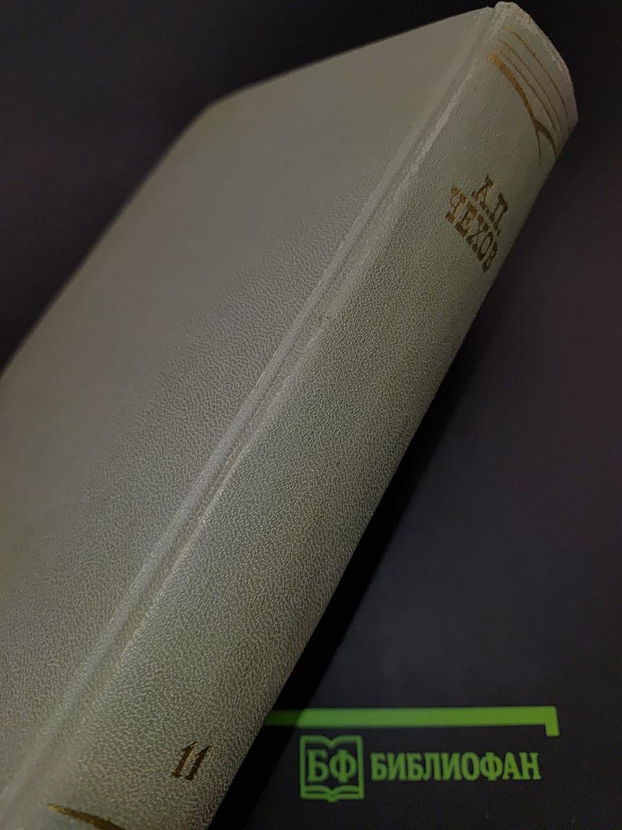 Собрание сочинений. Том одиннадцатый. Письма 1877-1892
