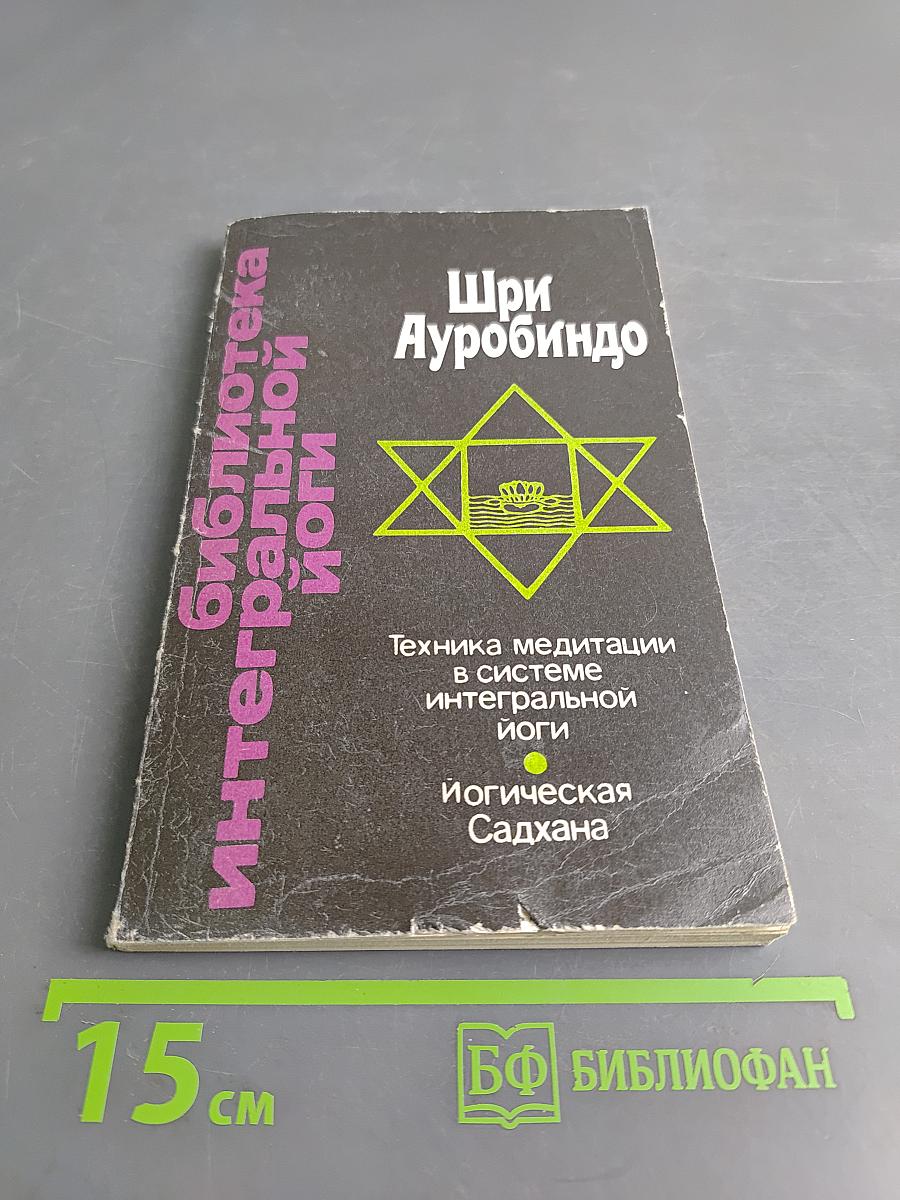 Беседы с Павинтрой. Техника медитации в системе интегральной йоги. Логическая Садхана
