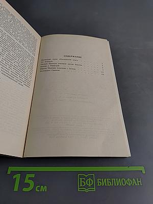 Беседы с Павинтрой. Техника медитации в системе интегральной йоги. Логическая Садхана