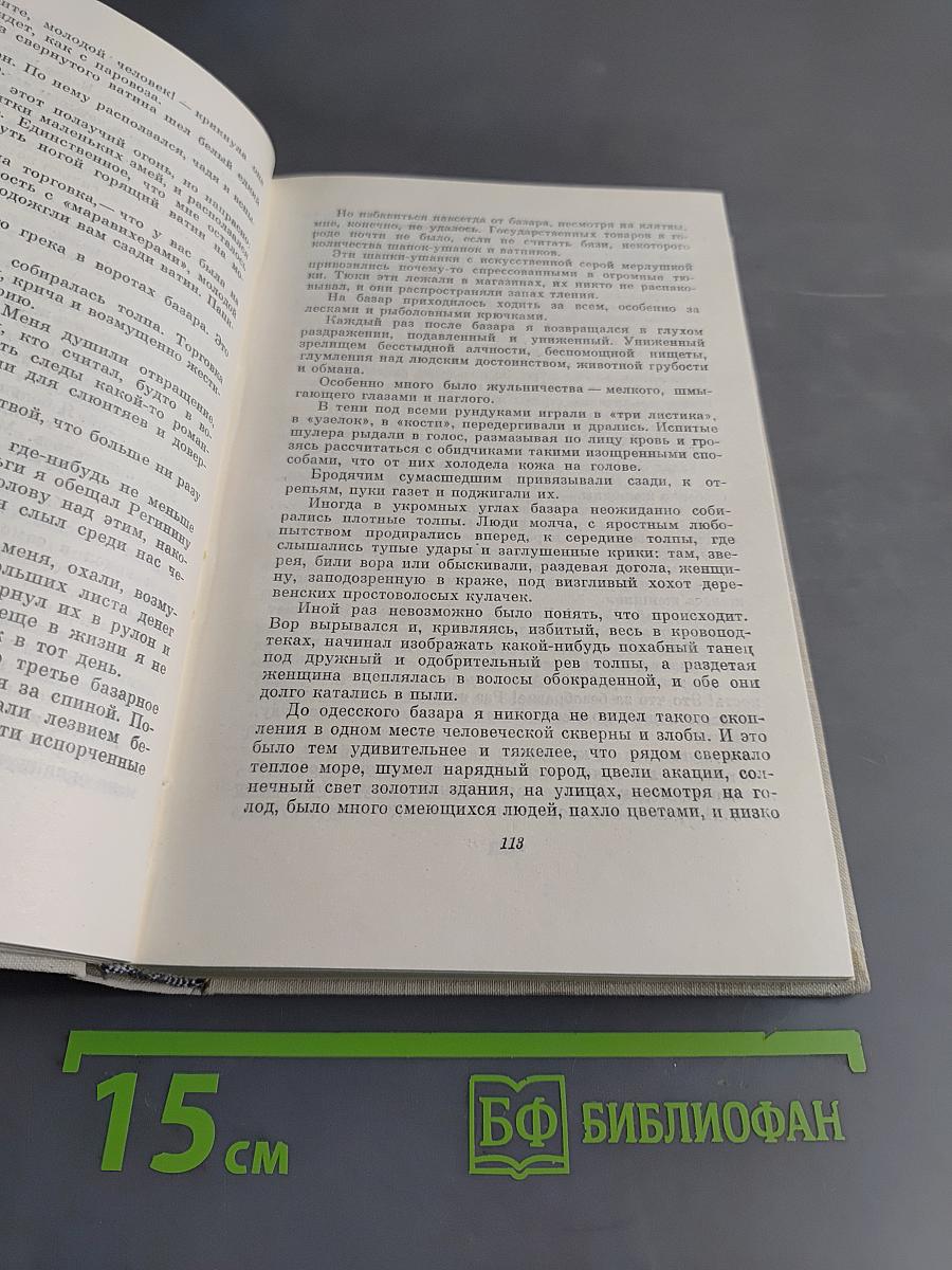 Повесть о жизни. Том пятый. Время больших ожиданий. Вгосок на юг. Книга скитаний