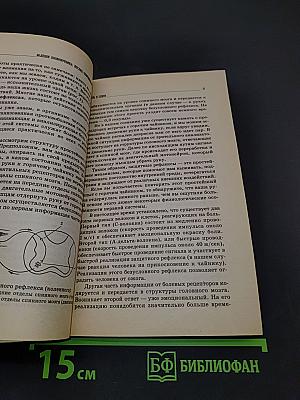 Болезни позвоночника: взгляд современной медицины