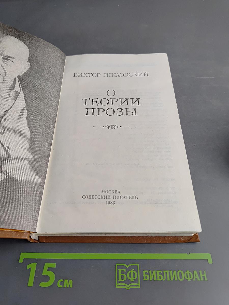 О теории прозы