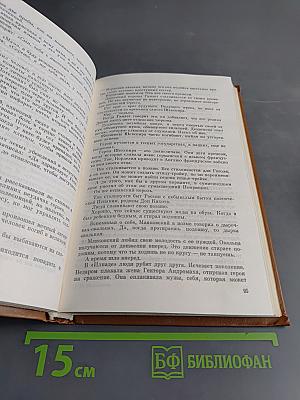 О теории прозы