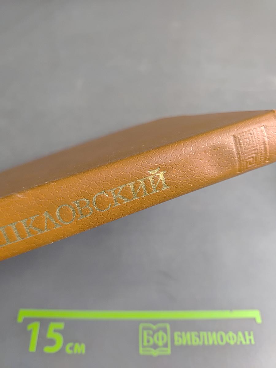 О теории прозы