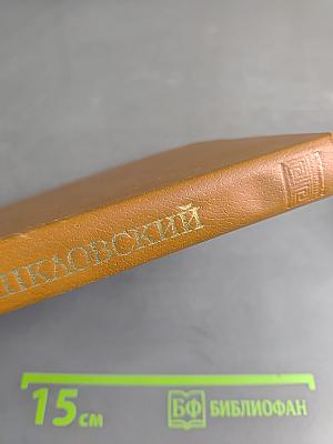 О теории прозы