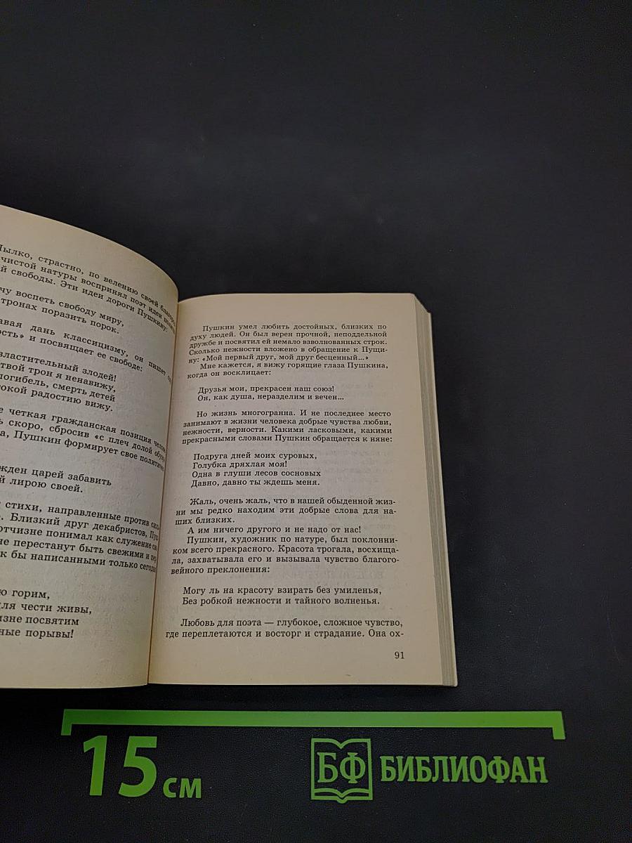 Лучшие школьные сочинения. Древнерусская литература. Русская литература XIX века. Часть I
