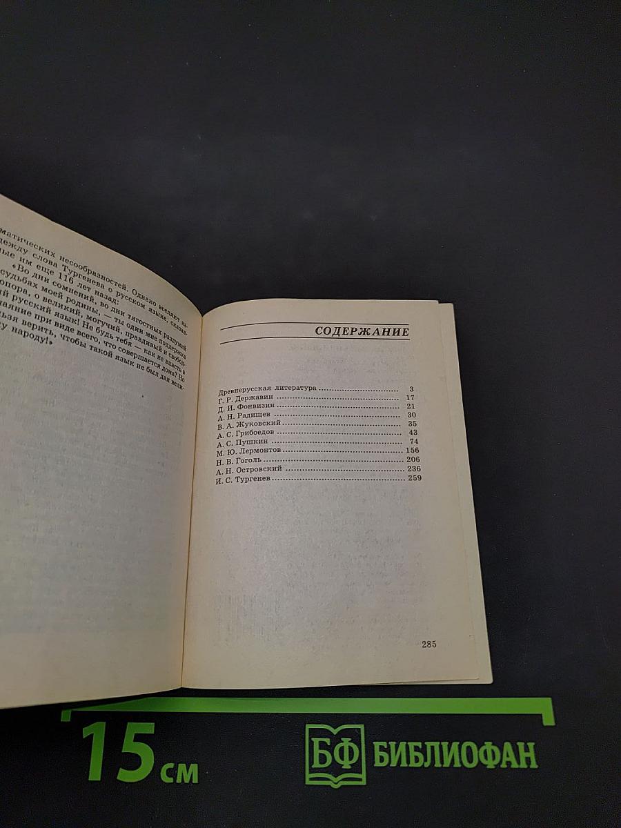 Лучшие школьные сочинения. Древнерусская литература. Русская литература XIX века. Часть I