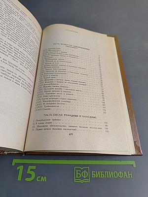 Петербургские трущобы (Книга о сытых и голодных). Роман в 2-х книгах. Книга вторая. Части четвертая - шестая
