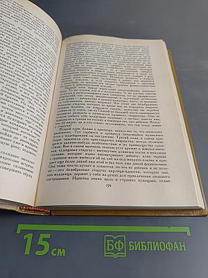 Петербургские трущобы (Книга 1)