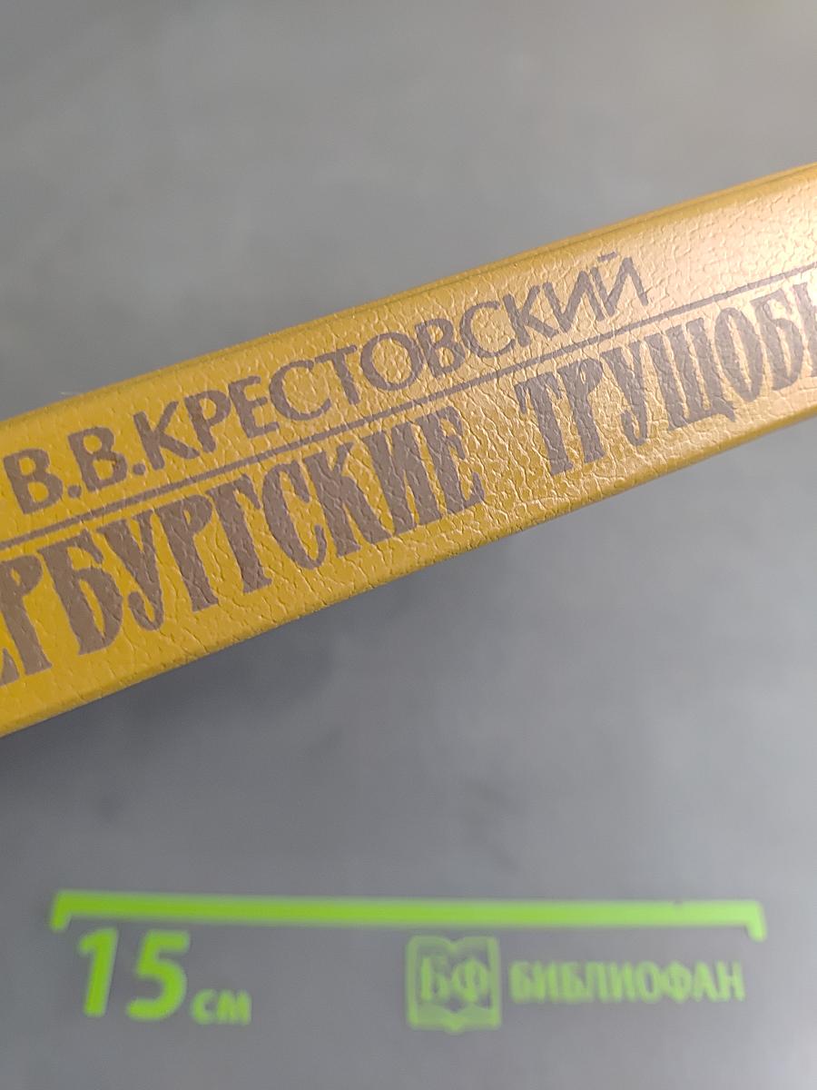 Петербургские трущобы (Книга 1)