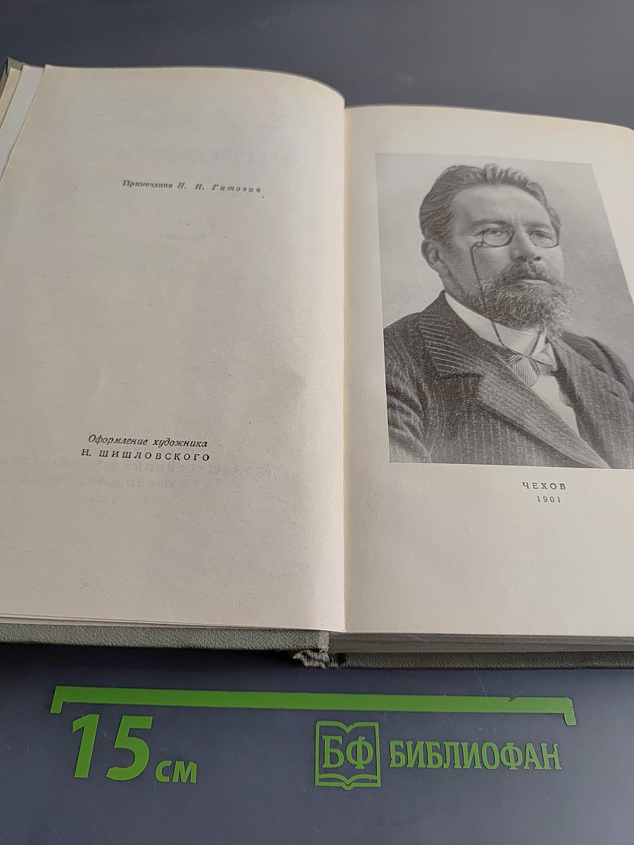 Собрание сочинений. Том двенадцатый. Письма 1893-1904