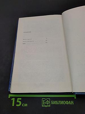 Вечные хлопоты. Книга вторая