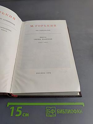 Пьесы. Сцены. Наброски. Том тринадцатый