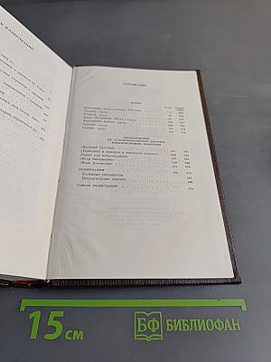 Пьесы. Сцены. Наброски. Том тринадцатый