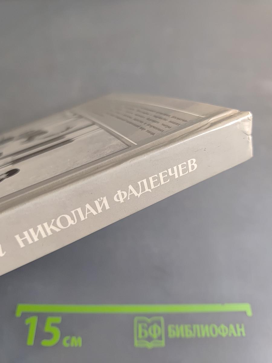 Солисты балета. Николай Фадеечев