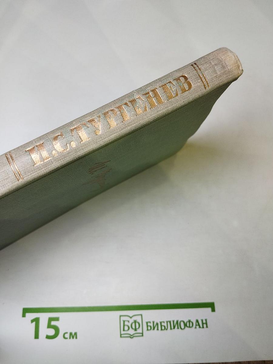 Собрание сочинений. Том второй: Рудин, Дворянское гнездо