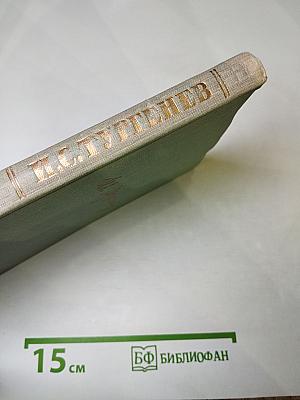 Собрание сочинений. Том второй: Рудин, Дворянское гнездо