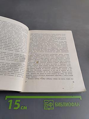 Незнакомая песня