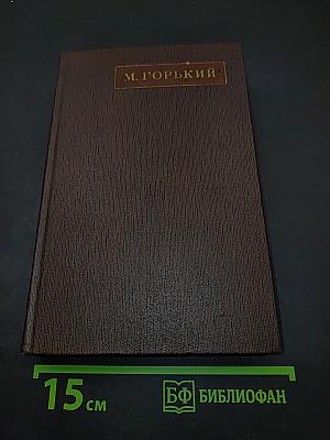 Собрание сочинений. Том пятый. "Трое". Рассказы, наброски. 1899-1901