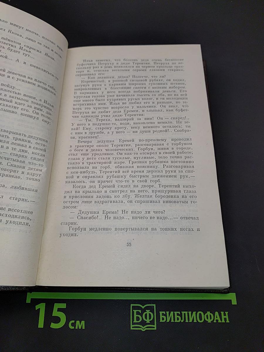 Собрание сочинений. Том пятый. "Трое". Рассказы, наброски. 1899-1901