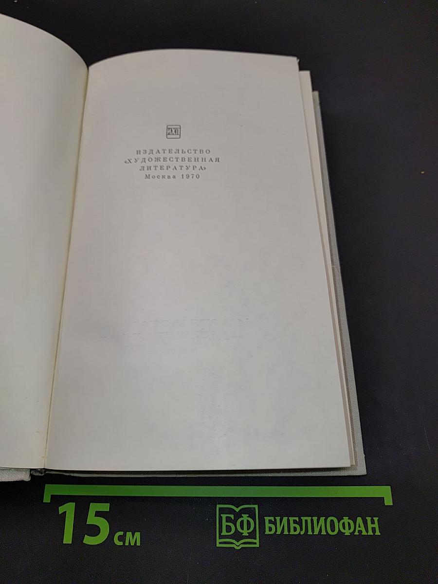Собрание сочинений. Том восьмой. Литературные портреты. Очерки. Заметки