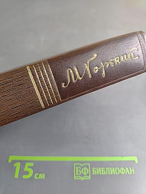 Собрание сочинений в 30 томах. Том 1. Рассказы, очерки, стихотворения, 1901-1907