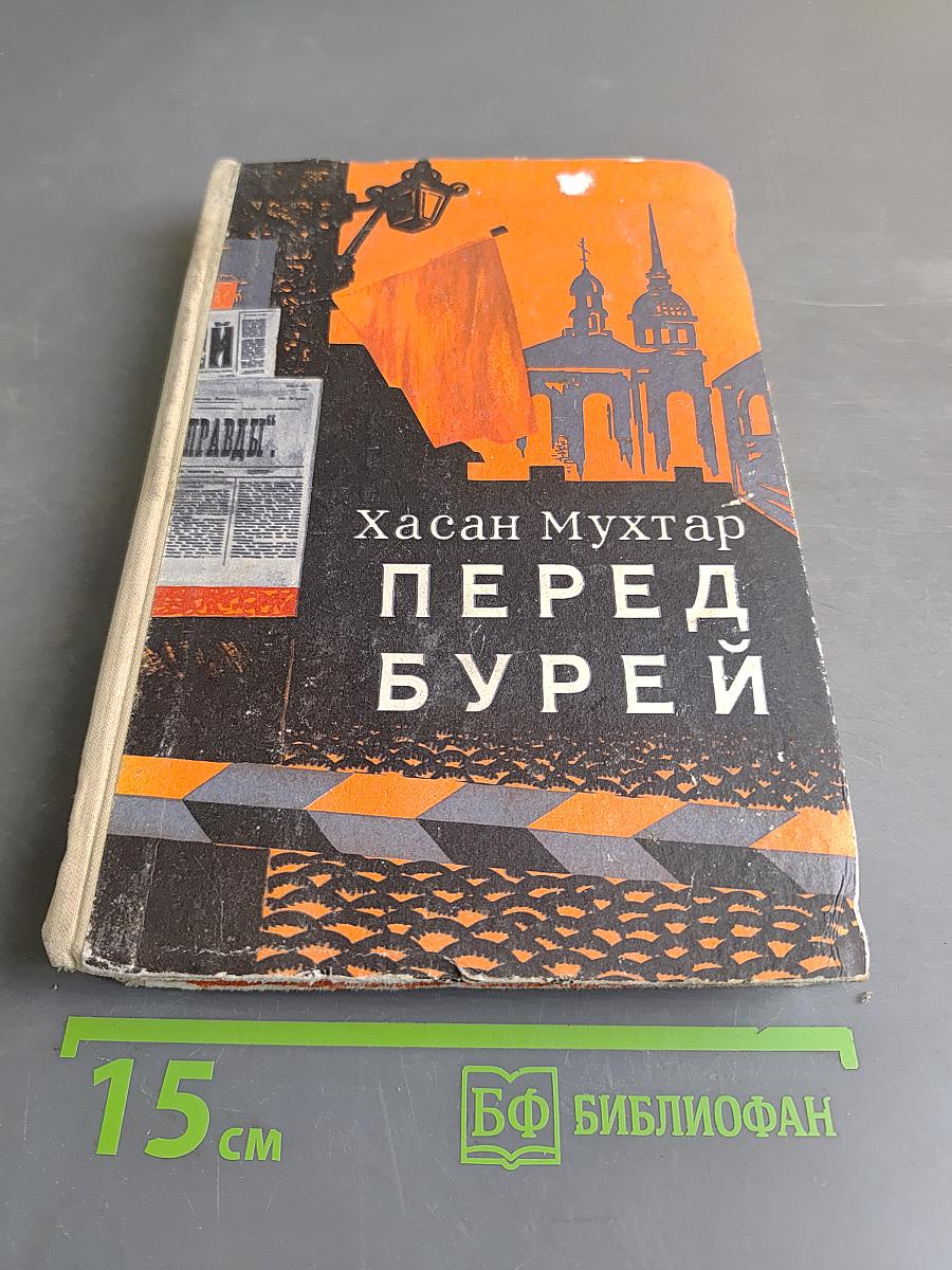 Перед бурей