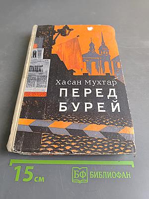 Перед бурей