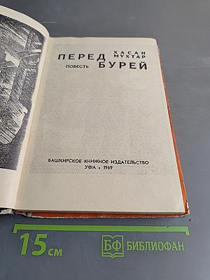 Перед бурей