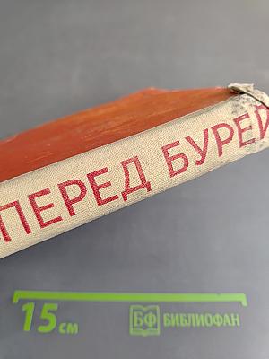 Перед бурей