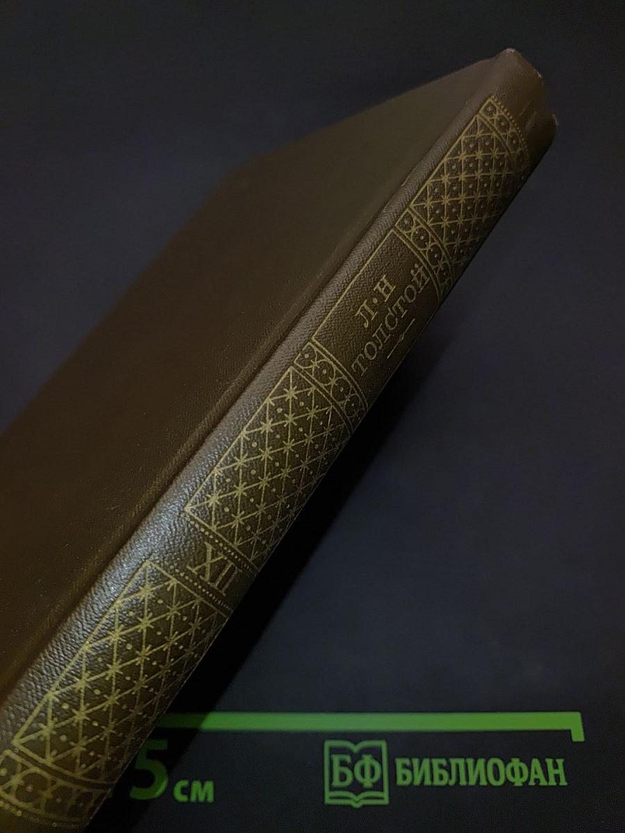 Повести и рассказы. Том двенадцатый. 1885-1902