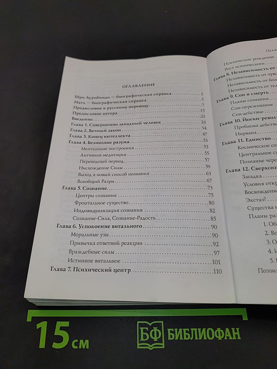Шри Ауробиндо, или Путешествие сознания