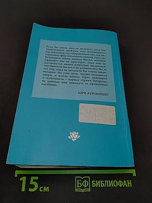 Шри Ауробиндо, или Путешествие сознания