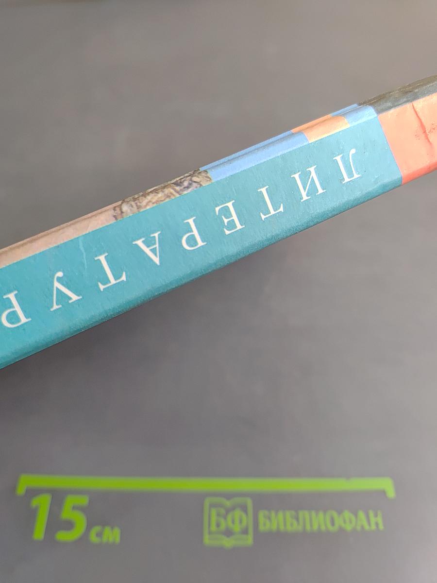 Литература. Учебник для общеобразовательных учреждений. Часть 2. 6 класс