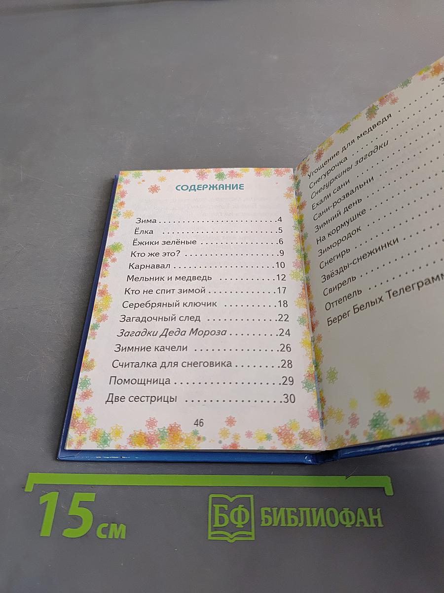 Зимний карнавал