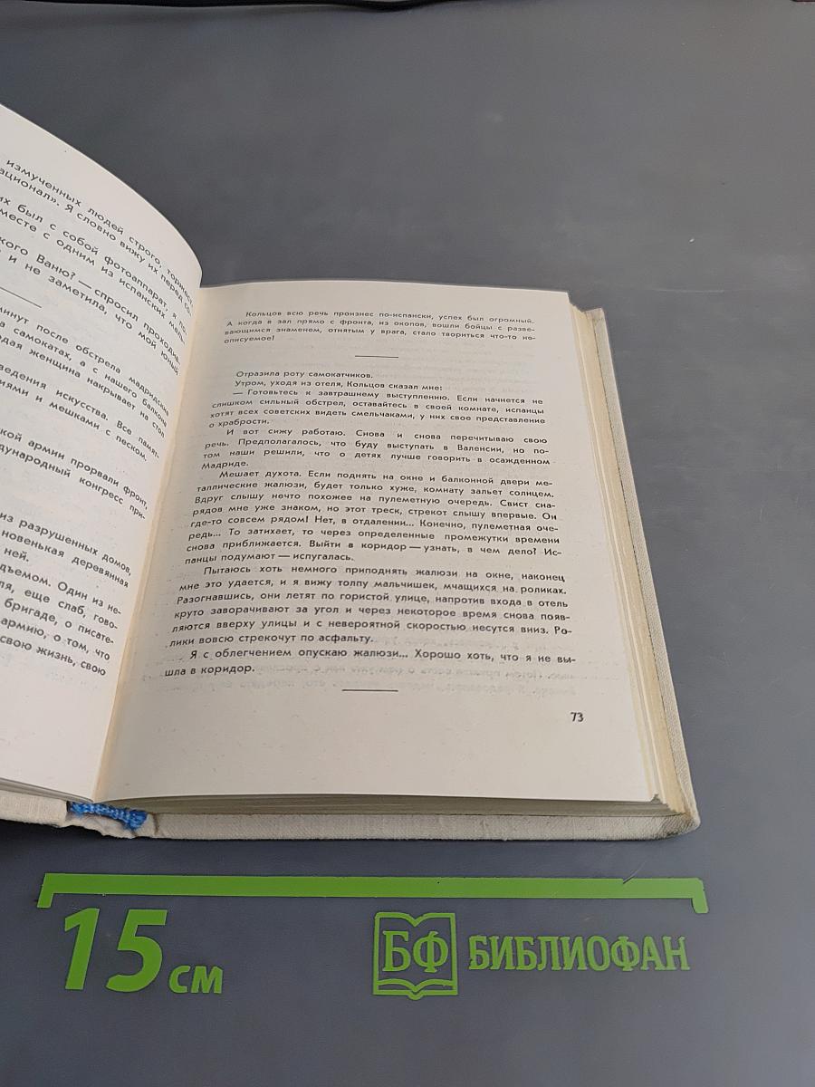 Записки детского поэта