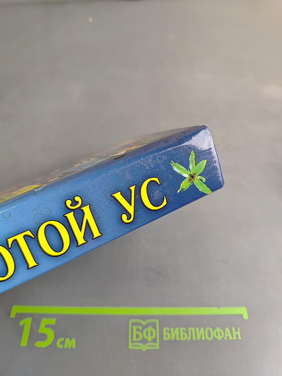 Золотой ус и другие природные целители