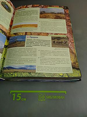 Детская энциклопедия. 5000 важных событий и интересных фактов