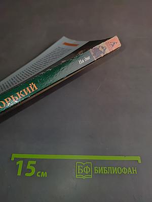 На дне