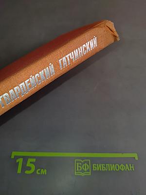 В небе — гвардейский Гатчинский