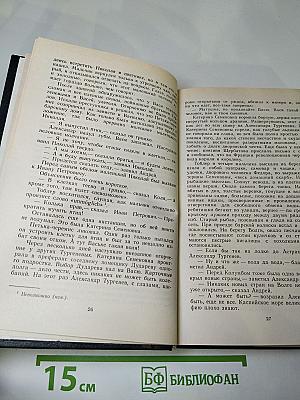 Повесть о братьях Тургеневых. Осуждение Паганини