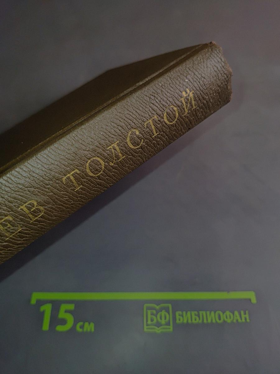 Л.Н. Толстой. Собрание сочинений. Том девятнадцатый. Дневники 1847-1894 гг.