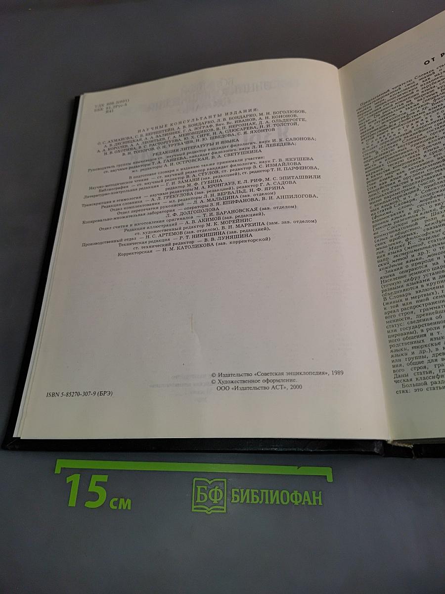 Большой энциклопедический словарь. Языкознание