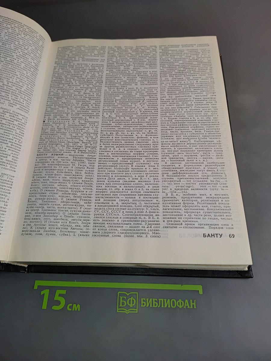 Большой энциклопедический словарь. Языкознание