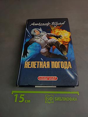 Нелетная погода