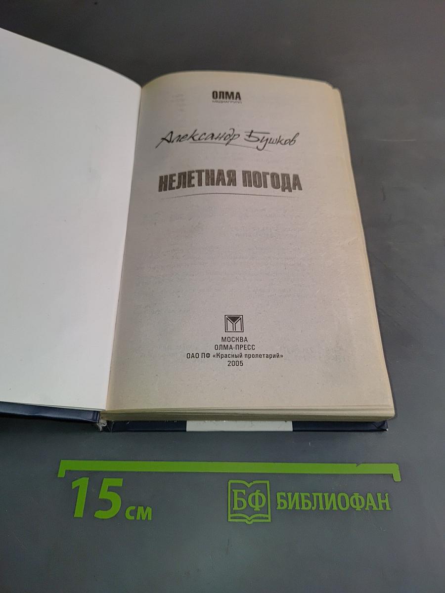 Нелетная погода