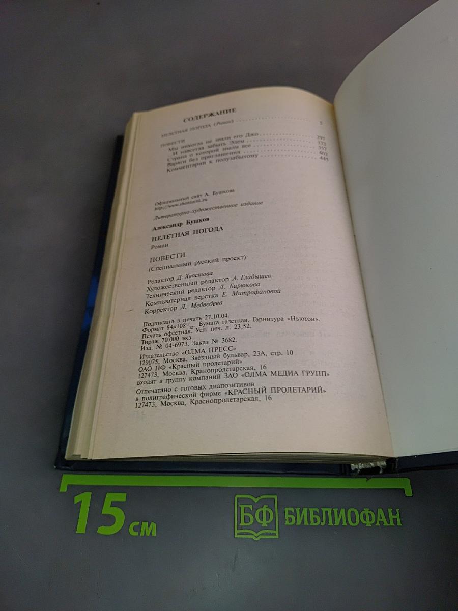Нелетная погода