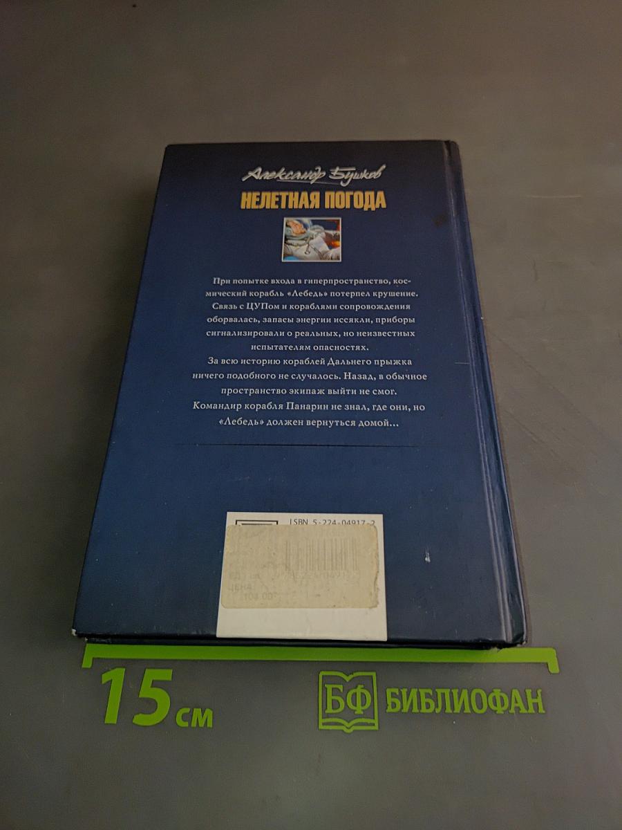 Нелетная погода