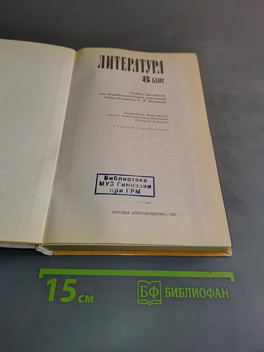 Литература 8 класс